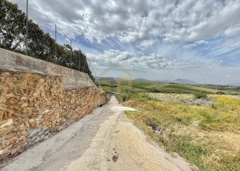 Foto 5 - Terreno agricolo Contrada Valguarnera, Partinico - foto 5