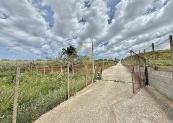 Foto 22 - Terreno agricolo Contrada Valguarnera, Partinico - foto 22