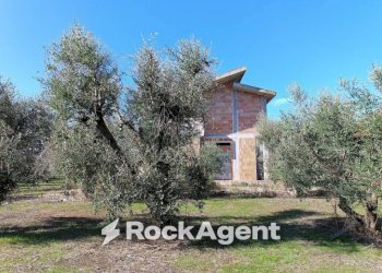 Terreno - Villa contrada Sant' Anna, Casarano - photo 8