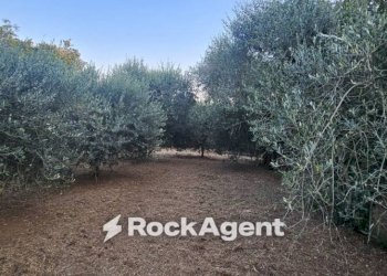 Terreno - Agricultural land SP26, 68, Vignanello - photo 1