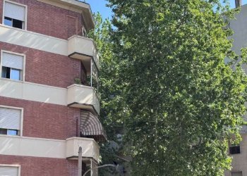 viste - Trilocale via Libia, Bologna (zona San Donato) - foto 10