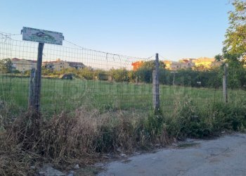 2 - Terreno agricolo Giugliano in Campania - foto 2