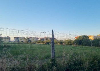3 - Terreno agricolo Giugliano in Campania - foto 3