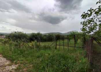 WhatsApp Image 2026-05-23 at 10.24.57 - Terreno agricolo Via Colle Rosa, Tivoli - foto 6