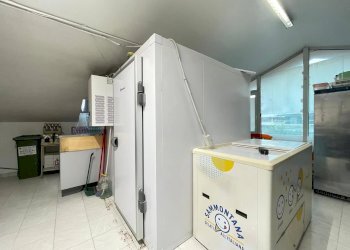 Negozio Silvi Marina, frazione Silvi Marina, Silvi - foto 16