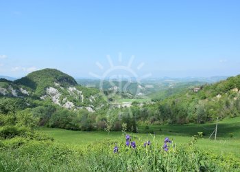 Trilocale Monterenzio - foto 4