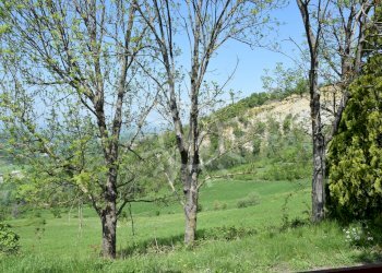 Trilocale Monterenzio - foto 5