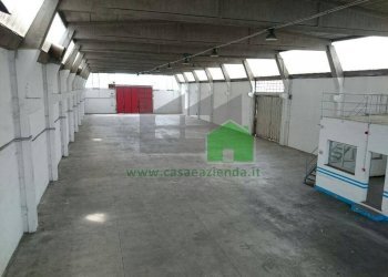 Capannone Rodano - foto 8