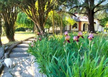 Villa Valenza - photo 30