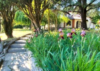 Villa Valenza - photo 31