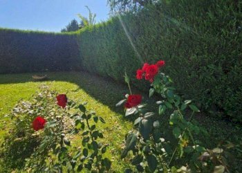 Villa Modena - photo 54