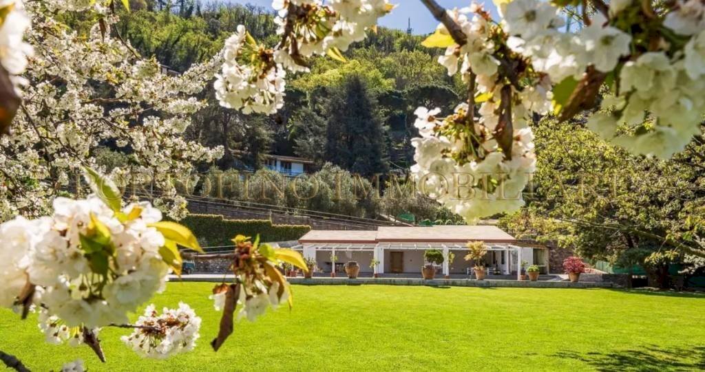 Giardino - Villa via Franco Molfino, Camogli - foto 3