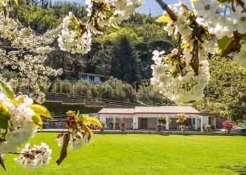Giardino - Villa via Franco Molfino, Camogli - foto 3