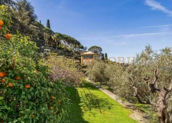 Giardino - Villa via Franco Molfino, Camogli - foto 9