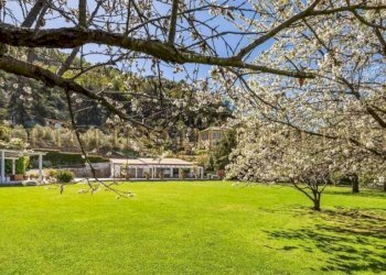 Terreno - Villa via Franco Molfino, Camogli - foto 15