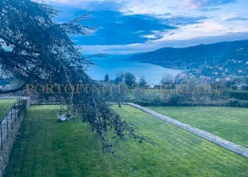 Terreno - Villa via Franco Molfino, Camogli - foto 34