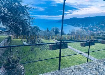 Vista - Villa via Franco Molfino, Camogli - foto 35
