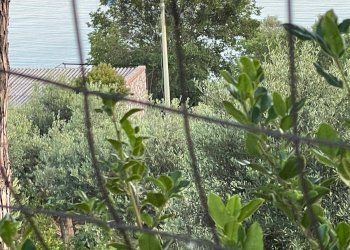 Giardino - Apartment VIA LOMBARDIA, Terracina - photo 14