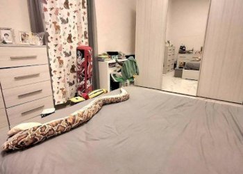 Camera da letto - Quadrilocale piazza Giuseppe Mazzini, 6, Carmagnola - foto 20