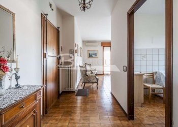Trilocale Carpi - foto 2