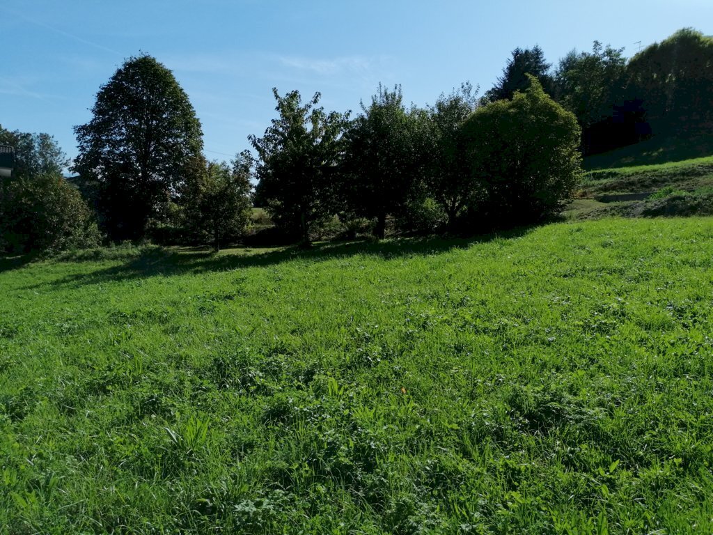 Terreno - Building land Grand Brissogne, Brissogne - photo 3