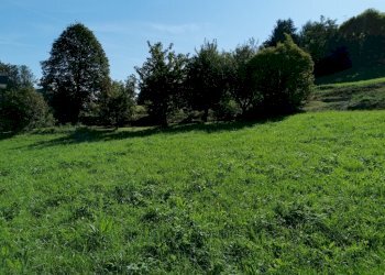 Terreno - Building land Grand Brissogne, Brissogne - photo 3