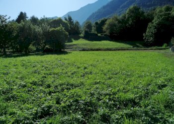 Terreno - Building land Grand Brissogne, Brissogne - photo 4