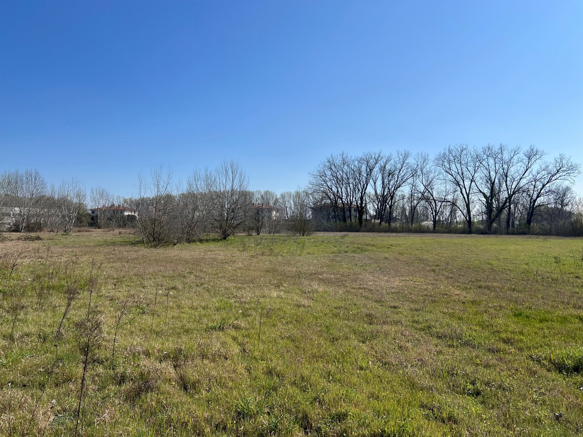 Building land Molinella - photo 1