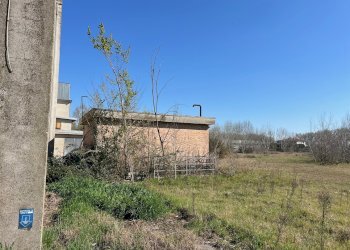 Building land Molinella - photo 2