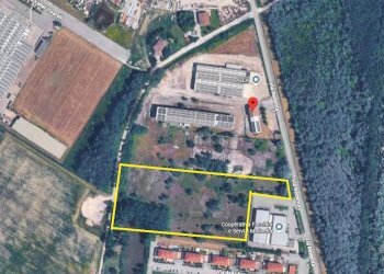 Building land Molinella - photo 5