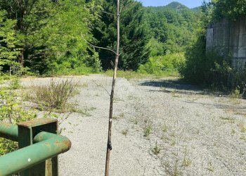 Shed via costalovaia, Busalla - photo 14