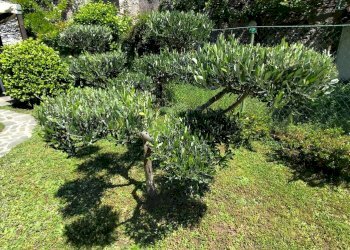 Four-room apartment via Branega, Genova (neighborhood Prà) - photo 13