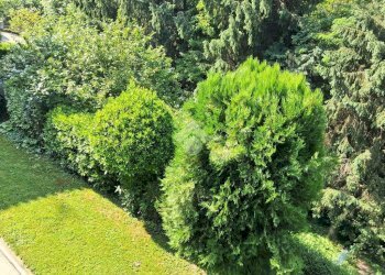 Villa Corso Chieri, Torino (neighborhood Madonna del Pilone) - photo 7