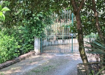 Villa Corso Chieri, Torino (neighborhood Madonna del Pilone) - photo 8
