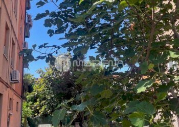 Appartamento Modena (zona Crocetta) - foto 28