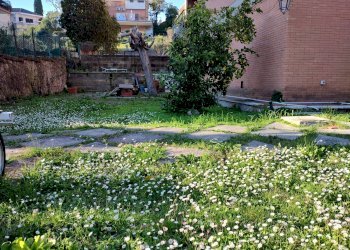 Foto 14 - Appartamento Via Filippo Barigioni, Roma - foto 14