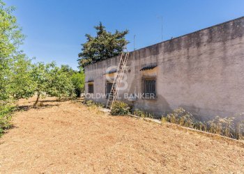 Foto 16 - Villa Contrada Mascava
 
SNC, San Vito dei Normanni - photo 16