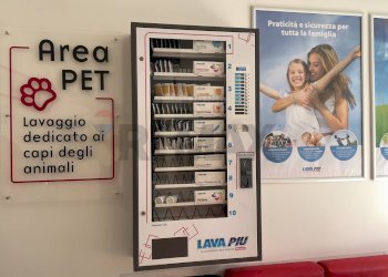 Non correlato - Commercial Activity VIA CORTILE SAVA, Santeramo in Colle - photo 24