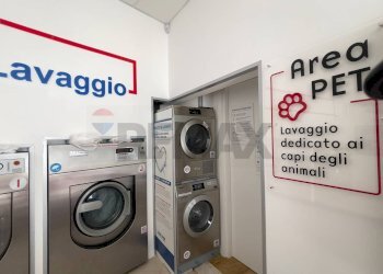Lavanderia - Commercial Activity VIA CORTILE SAVA, Santeramo in Colle - photo 25