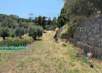 Giardino - Rustic via strettolone, Grassano - photo 10