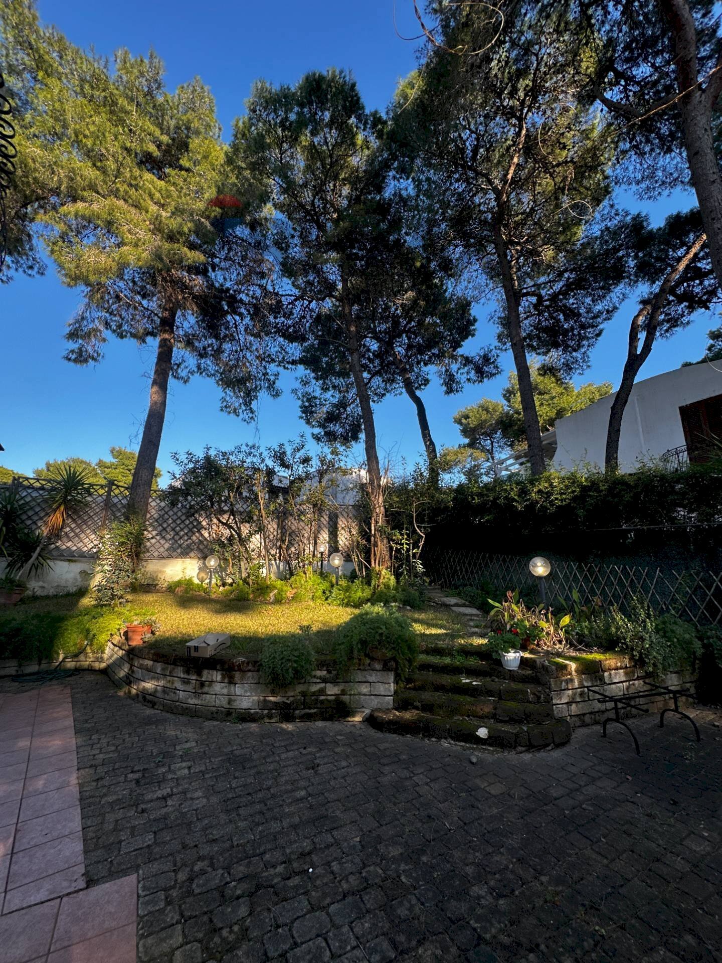 Giardino - Casa semi indipendente Castellaneta - foto 3