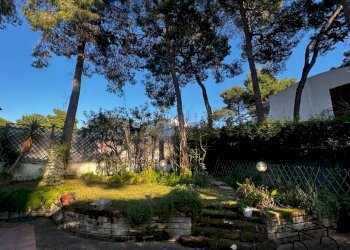 Giardino - Casa semi indipendente Castellaneta - foto 3