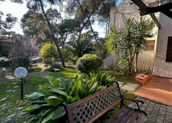 Giardino - Casa semi indipendente Castellaneta - foto 6