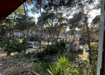 Giardino - Casa semi indipendente Castellaneta - foto 29