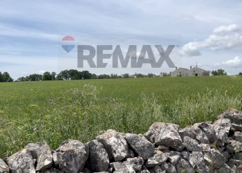 Giardino - Villa Santeramo in Colle - photo 2