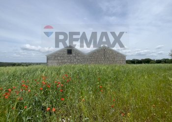 Casa all\'aperto - Villa Santeramo in Colle - photo 4