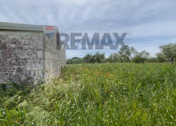 Giardino - Villa Santeramo in Colle - photo 8