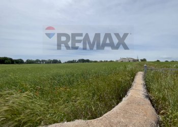 Giardino - Villa Santeramo in Colle - photo 16