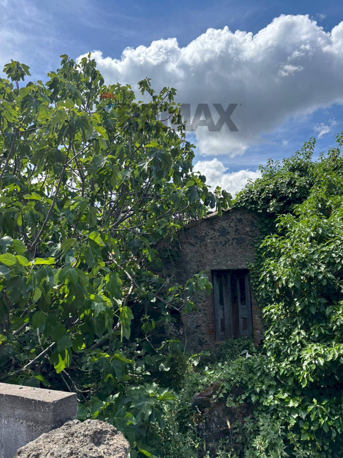 Giardino - Independent house Via S. Tenente Vincenzo Saitta
 
72, Randazzo - photo 1