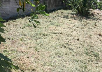 Giardino - Independent house Via S. Tenente Vincenzo Saitta
 
72, Randazzo - photo 7